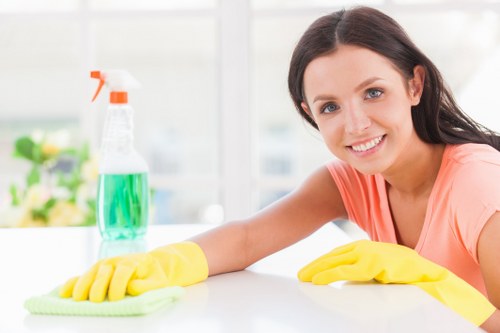 Professional deep cleaning in an Enfield kitchen with detailed surface care