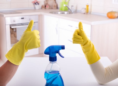 Local mattress cleaning service covering Enfield and nearby areas