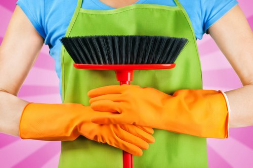 Domestic cleaning service for flats and houses in Enfield