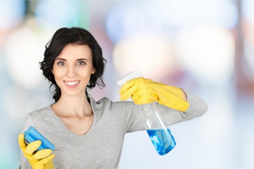 Professional window cleaning in Enfield for local homes and businesses