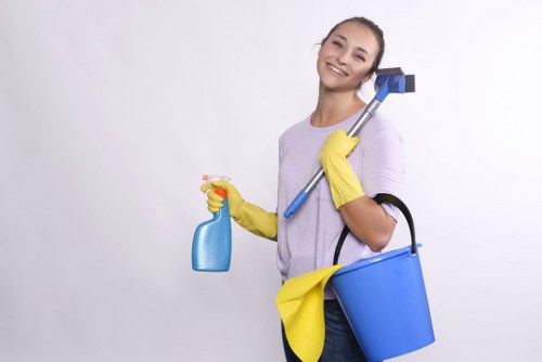 Commercial gutter cleaning for an Enfield business property