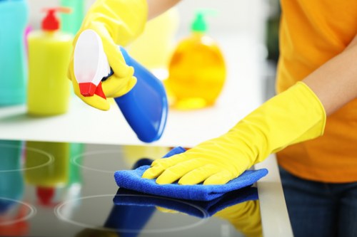Local oven cleaner working in a property in Enfield