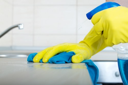 Cleaner carpets in a typical Enfield property with family-friendly rooms