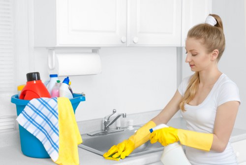 Local cleaner working in a flat near Enfield town centre