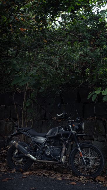 A black Royal Enfield motorcycle parked on a paved surface next to a stone wall, with lush green foliage and trees overhead providing a shaded environment. The motorcycle's metal surfaces, including t